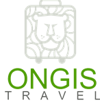 Picture of Ongistravel Team