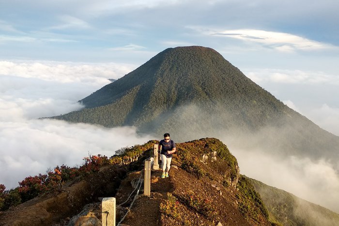 Tarif Pendakian Gunung Gede Pangrango